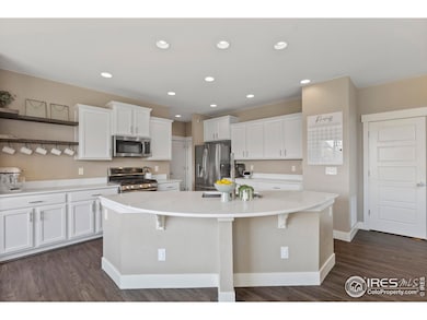 2289 Stonefish Dr, Windsor, CO 80550 - photo 5