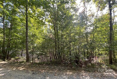 00 Hickory Nut Ln unit 390, Lake Lure, NC 28746 - photo 6