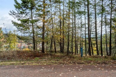 25 Ponderosa Ln, Big Fork, MT 59911 - photo 6