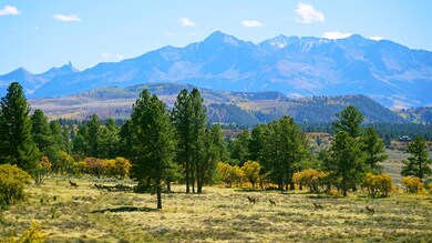 1250 McKenzie Springs Rd, Placerville, CO 81430 - photo 7