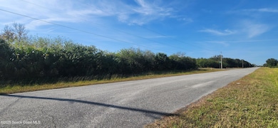 Xxx Fawn Trail St, Palm Bay, FL 32909 - photo 4