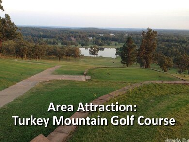 1307 Sunset Circle Dr, Horseshoe Bend, AR 72512 - photo 4