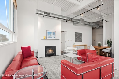 361 Robinson St unit 238, Basalt, CO 81621 - photo 4