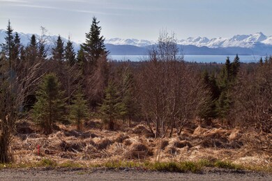 000 E End Road Homer AK 99603