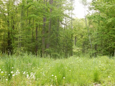 00 Pine St, Newport, VT 05855 - photo 5