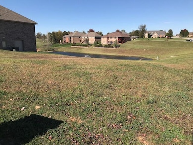 809 E Twin Maple Ct, Nixa, MO 65714 - photo 2