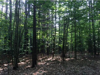 00 Ayers Rd, Canterbury, NH 03224 - photo 6