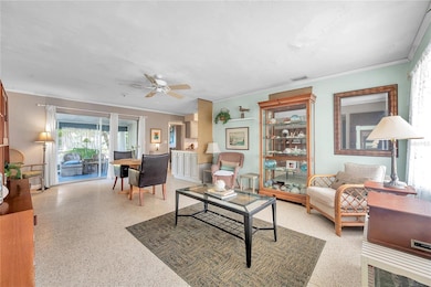 1116 Michigan Blvd, Dunedin, FL 34698 - photo 5