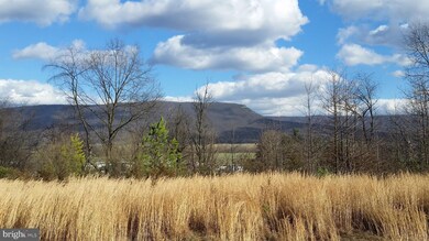 0 Phase II Truxton unit VASH2002472, Mount Jackson, VA 22842 - photo 2