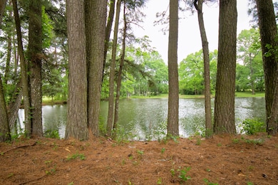 938 Jones Rd, New Waverly, TX 77358 - photo 2