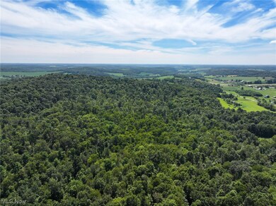 0 Co Road 3364 unit 4486126, Loudonville, OH 44842 - photo 4