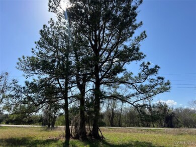 0 Barganier Rd unit 572423, Cecil, AL 36013 - photo 2