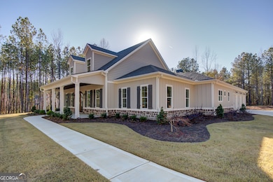 250 Bob Smith Rd, Sharpsburg, GA 30277 - photo 2