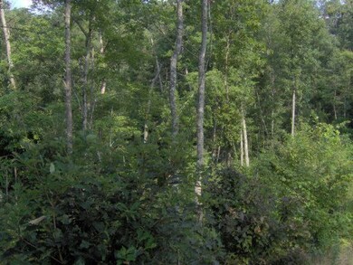 0 Old Stage Coach Rd unit 750408, Rutledge, TN 37861 - photo 4