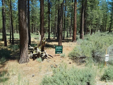 202 Village Trail unit Roark Lot 036, Portola, CA 96122 - photo 4