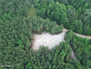 2 Old Hamburg Roxie Rd NW, Roxie, MS 39661 - photo 5