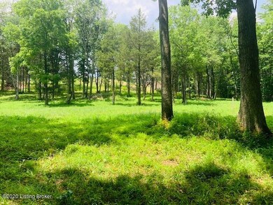 Lots of mature trees