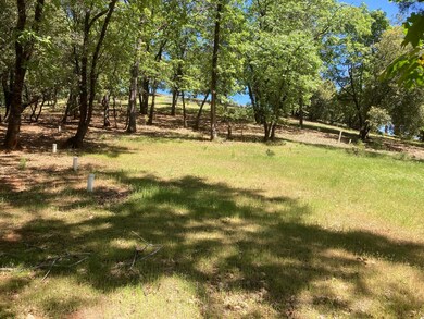 16688 Sonshine Ln, Sutter Creek, CA 95685 - photo 5