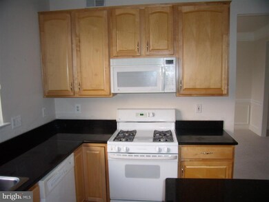 9856 Upper Mill Loop, Bristow, VA 20136 - photo 4