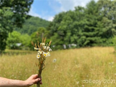 99999 Tweed Rd, Leicester, NC 28748 - photo 6