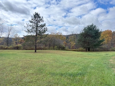 2117 Route 666, Sheffield, PA 16347 - photo 7