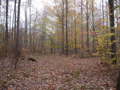 Woods