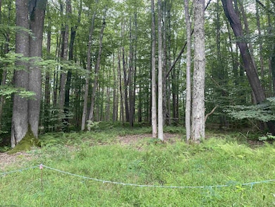 lot 42 Bobcat Rd, Davis, WV 26260 - photo 2