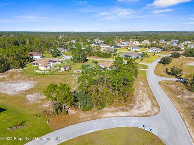 8-web-or-mls-DJI_20241125142934_0438_D