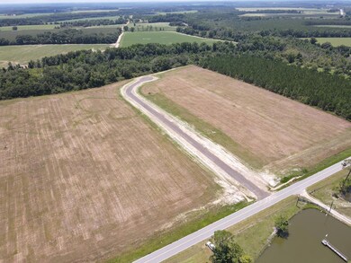 0 Swan Rd, Fitzgerald, GA 31750 - photo 6