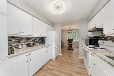 440 Raintree Ct unit 1D, Glen Ellyn, IL 60137 - photo 6