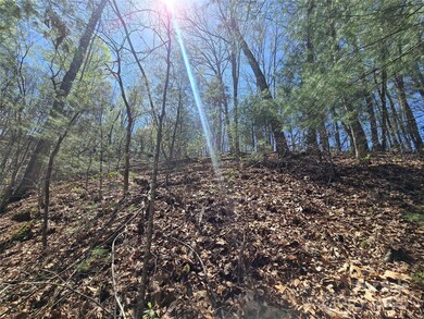 00 Riverside Dr unit 33/34, Whittier, NC 28789 - photo 4