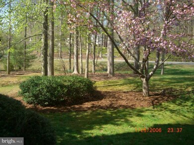 7205 Bloomsbury Ln, Spotsylvania, VA 22553 - photo 4