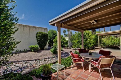 Backyard/Covered Patio