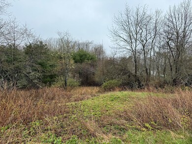 IMG_8269