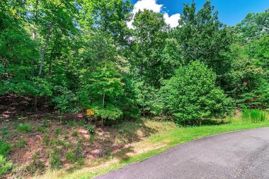LOT 22 Meadow Brook Trail, Morganton, GA 30560 - photo 4