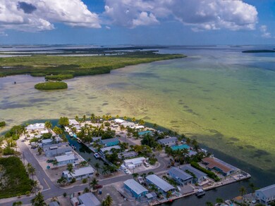 NEIGHBORHOOD AERIAL