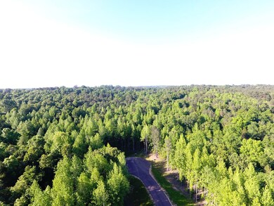 200 Philippians Rd, Oxford, MS 38655 - photo 6