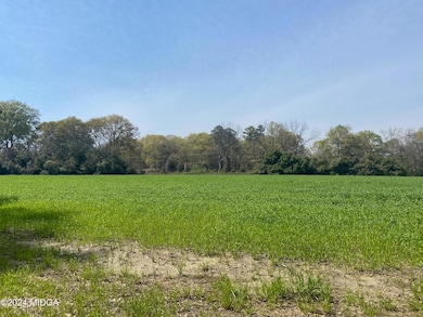 0 Moseley Rd unit 180362, Byron, GA 31008 - photo 4