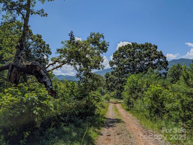 TBD Mystic View Ln, Black Mountain, NC 28711 - photo 7