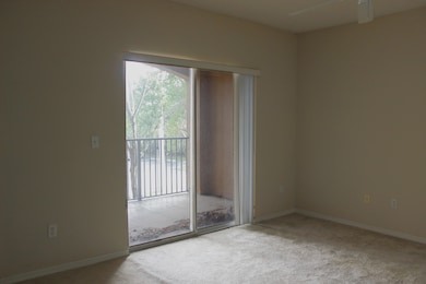 Living Room and View