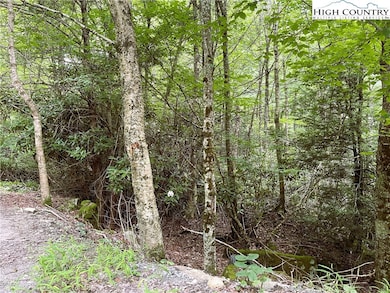 104 Willow Run Rd, Beech Mountain, NC 28604 - photo 4