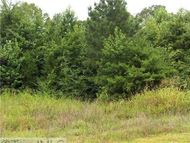 5949 Drake Rd, Greensboro, NC 27406 - photo 6