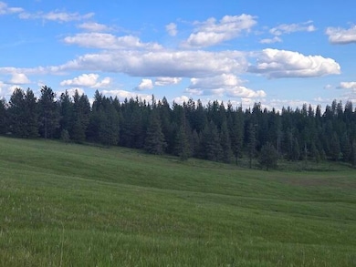 5266 Wagner Rd, Springdale, WA 99173 - photo 3