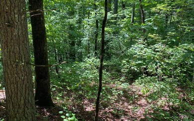 Additional View