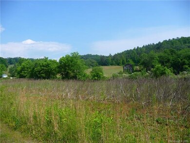 00 Jones Patton Rd, Leicester, NC 28748 - photo 2