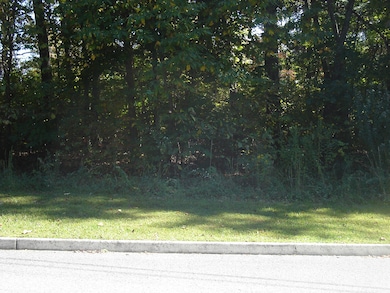 Lot 17 Cherokee Dr, Rutledge, TN 37861 - photo 2