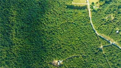 2482 S Chapel Hill Church Rd, Denton, NC 27239 - photo 2