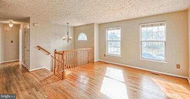 6254 Rainier Dr, Frederick, MD 21703 - photo 4