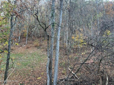 0 Pulaski Ln unit 1282050, Sevierville, TN 37862 - photo 3