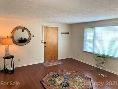 932 Brookside Camp Rd unit 25, Hendersonville, NC 28792 - photo 3